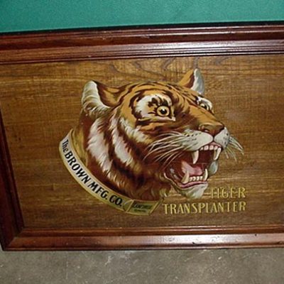 Vintage art: A framed picture of a tiger head on a wooden frame, showcasing the majestic beauty of this fierce animal.